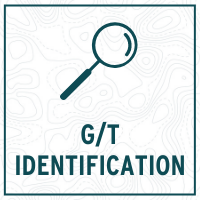GT Identification